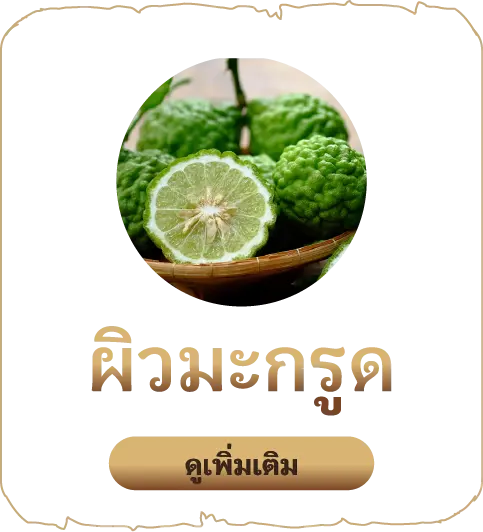 เสน่หา-ผิวมะกรูด