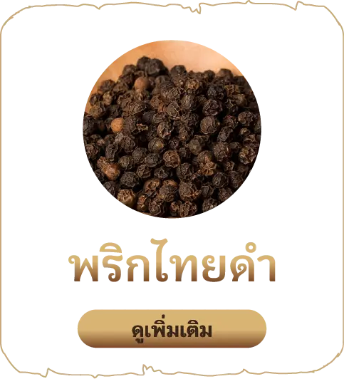 เสน่หา-พริกไทยดำ