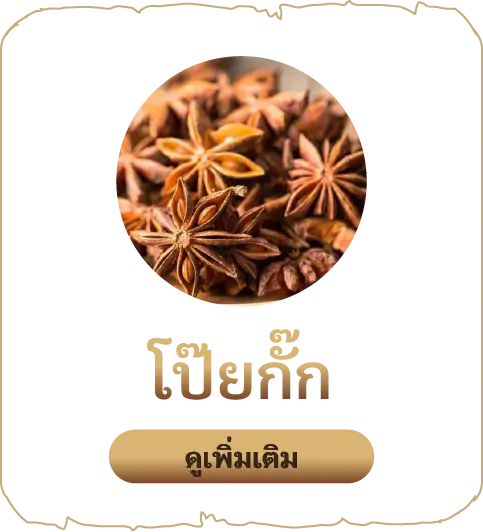 เสน่หา-โป๊ยกั๊ก