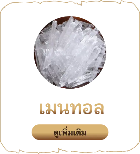เสน่หา-เมนทอล